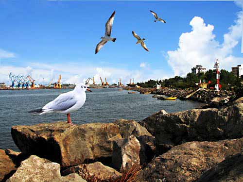 anzali